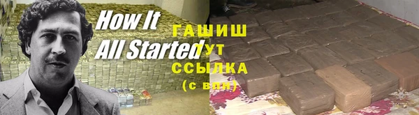 прущие грибы Балахна
