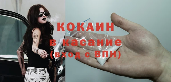 прущие грибы Балахна