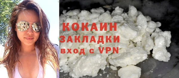 прущие грибы Балахна