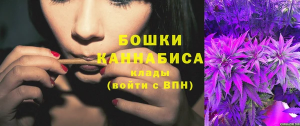 прущие грибы Балахна