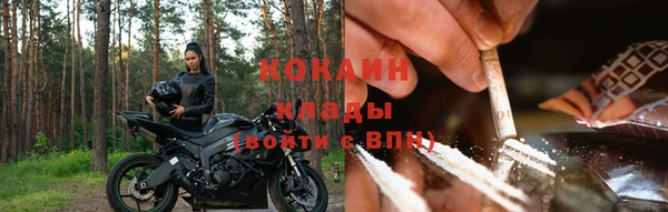 ПСИЛОЦИБИНОВЫЕ ГРИБЫ Баксан
